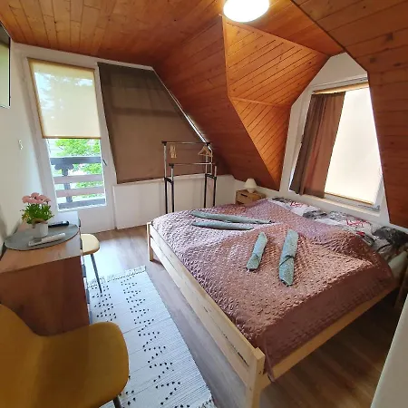 Teodor Apartment *