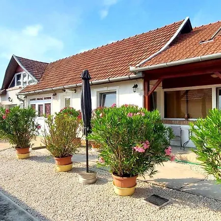 Apartment Teodor Gyula