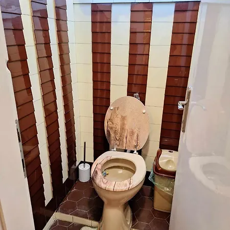 Apartment Teodor Gyula