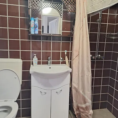 Apartament Teodor *